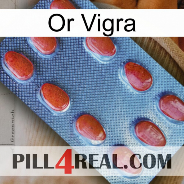 Gold Vigra 06.jpg